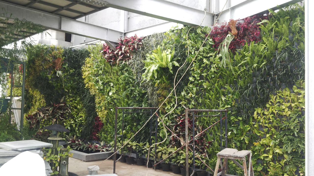 Jasa Taman Vertikal Vertical Garden Jasa Pembuatan Taman